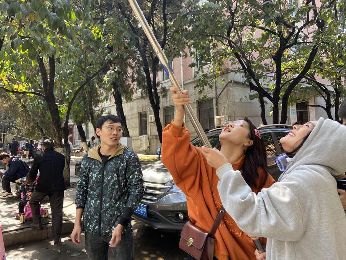 西北工业大学创意柿子大赛,西工大柿子采摘大赛第四届