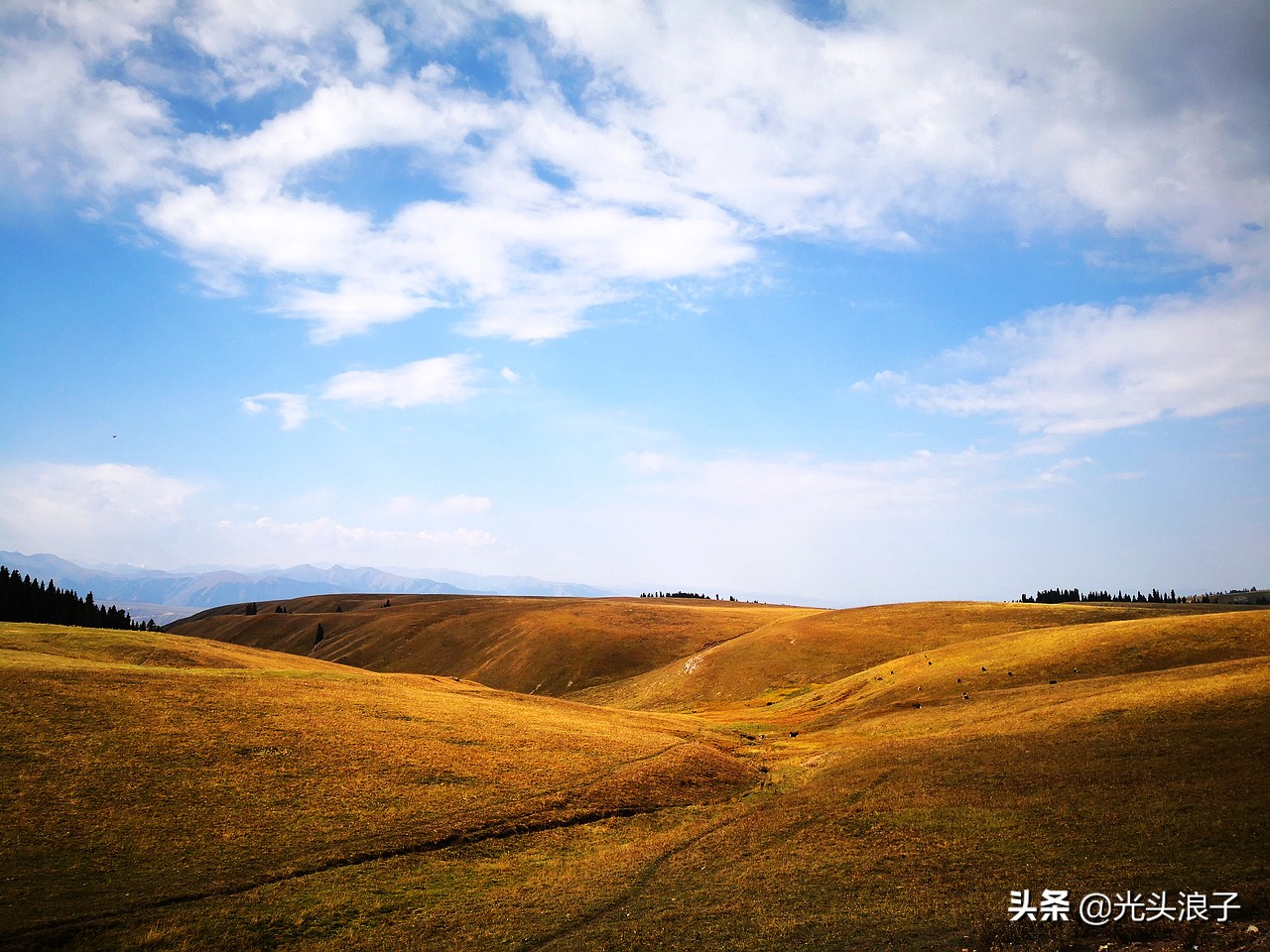 世界自然遗产地喀拉峻大草原,来新疆感受大自然的喀拉峻大草原