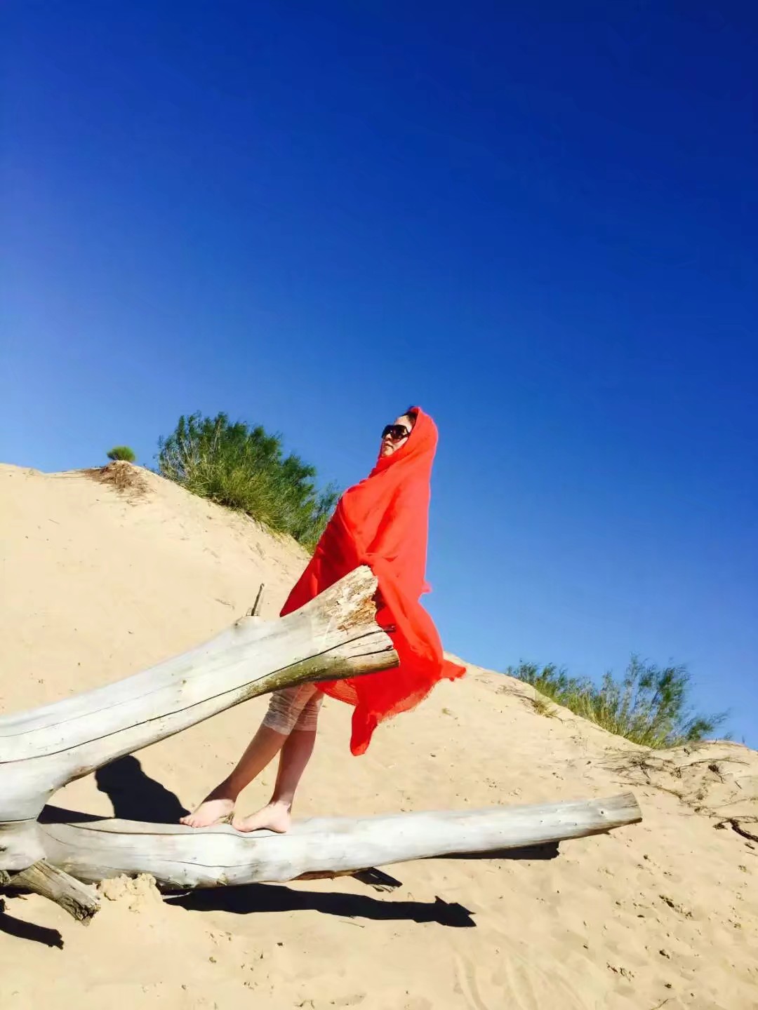 旅行去看草原美景,去草原撒欢视频