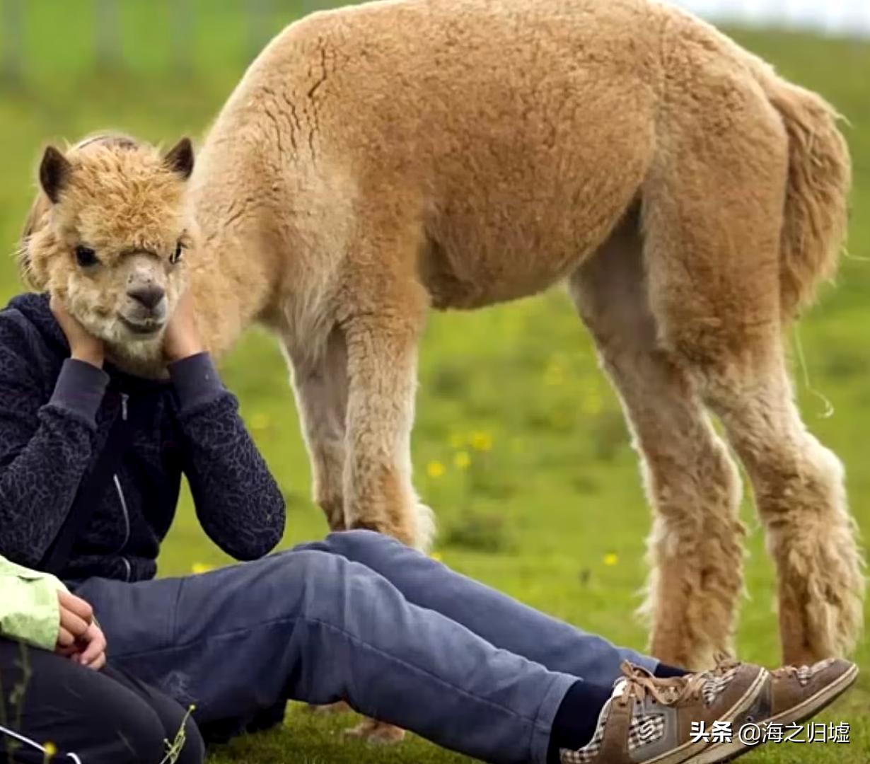 16张不可思议的巧合照片,33张不可思议的巧合照片