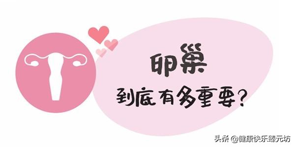 「私密」卵巢保养女人一生的必修课