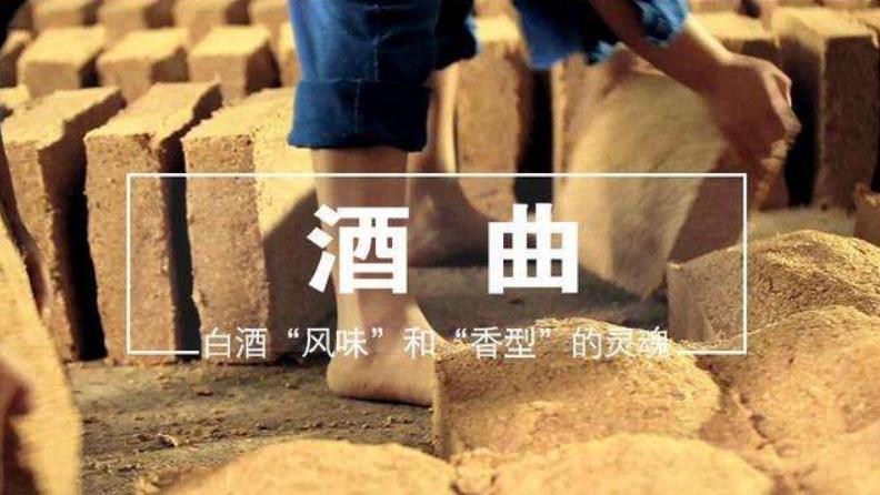 曲为酒之骨酒曲介绍,曲为酒之骨酒曲详解