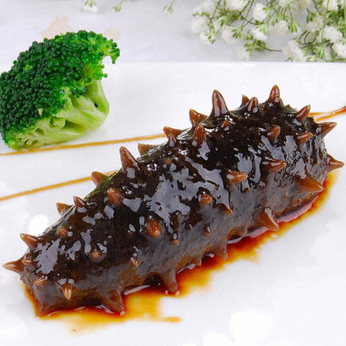 世界哪种海参最有营养,全世界海参的种类哪种最好吃