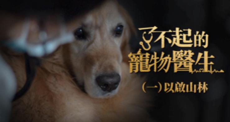 有良心的宠物医生,什么都能治的宠物医生