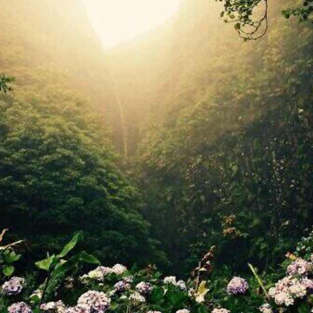 快速适应环境的方法,努力适应不适应的环境