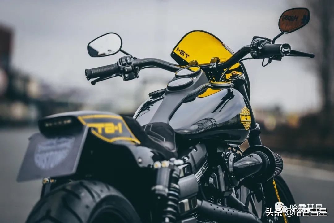 路威s改装匪帮,路威s改装dmr