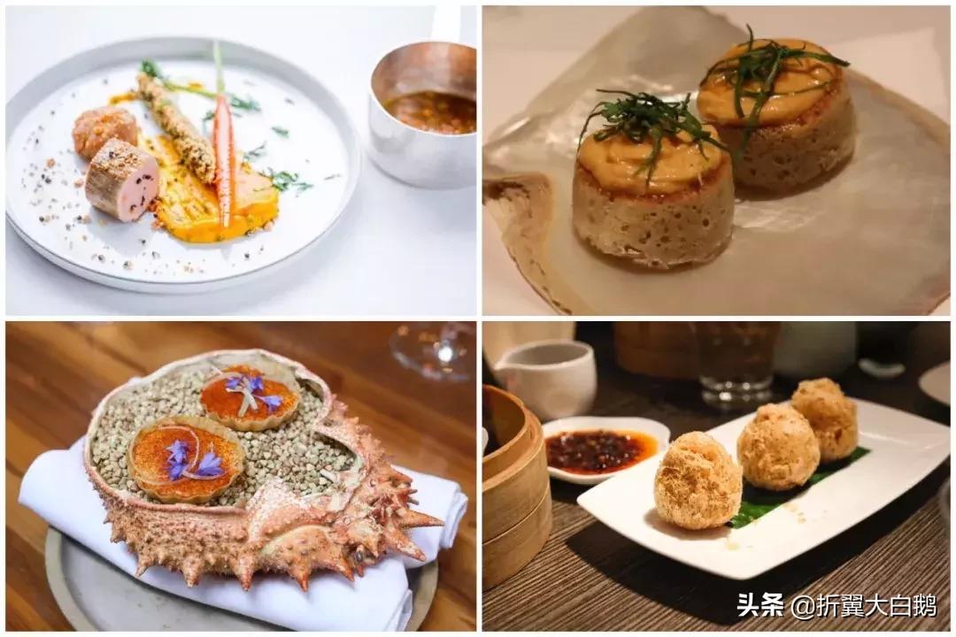 从足球小将到灌篮高手,从足球小将到十六强