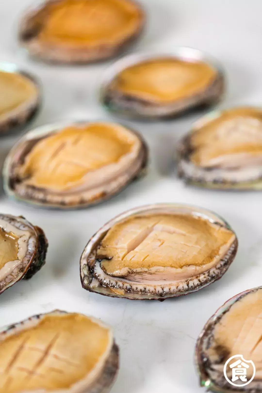 香港鲍鱼老字号,这家老店回头客超多牛气冲天