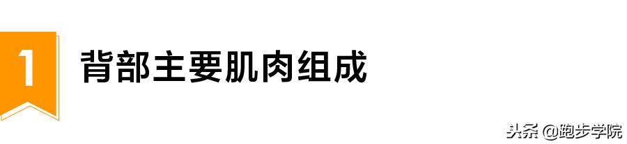 久坐引起的后背疼痛做什么运动,长时间不运动跑步后背痛怎样恢复
