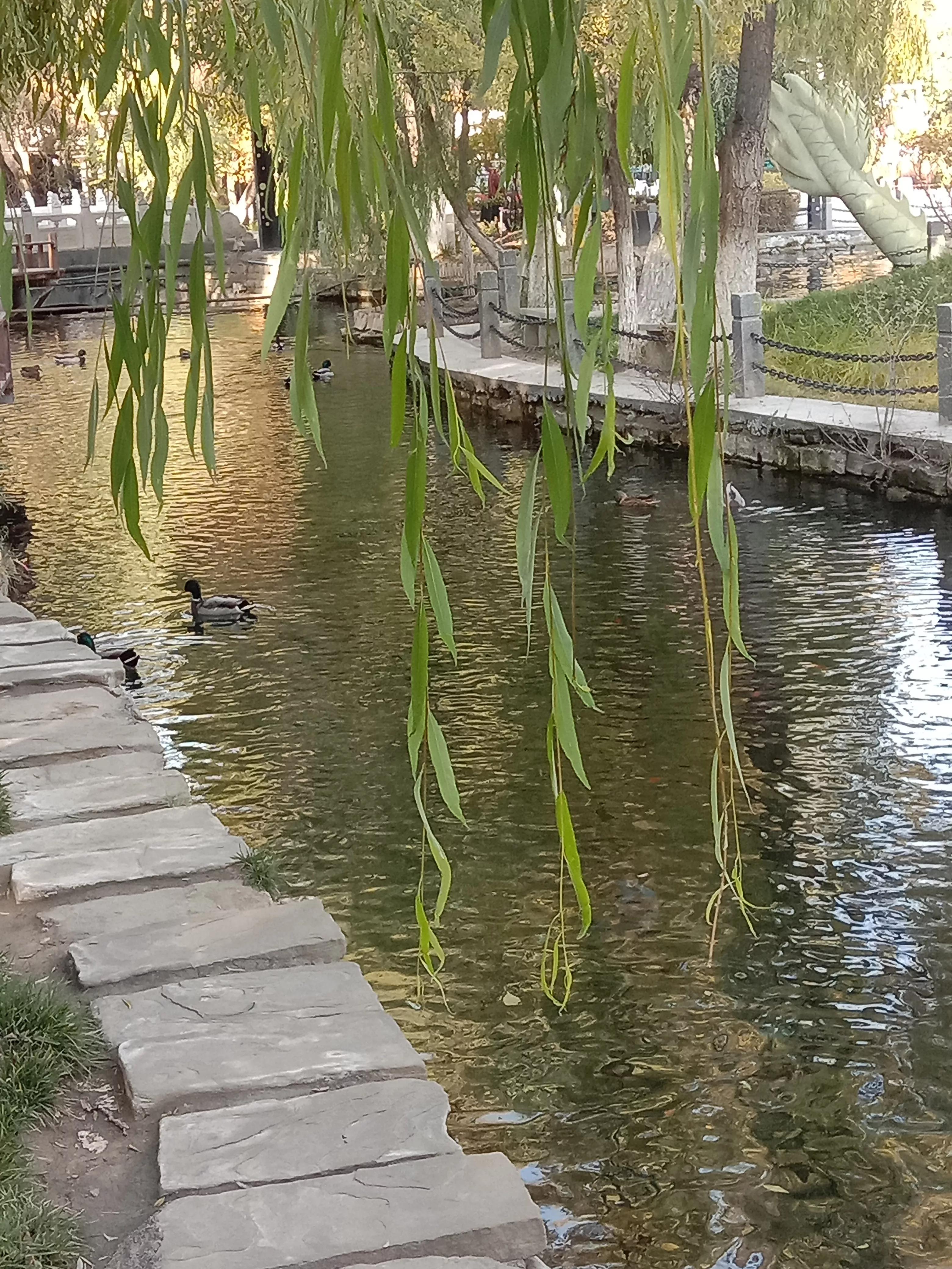 水磨沟公园简介,水磨沟公园作文