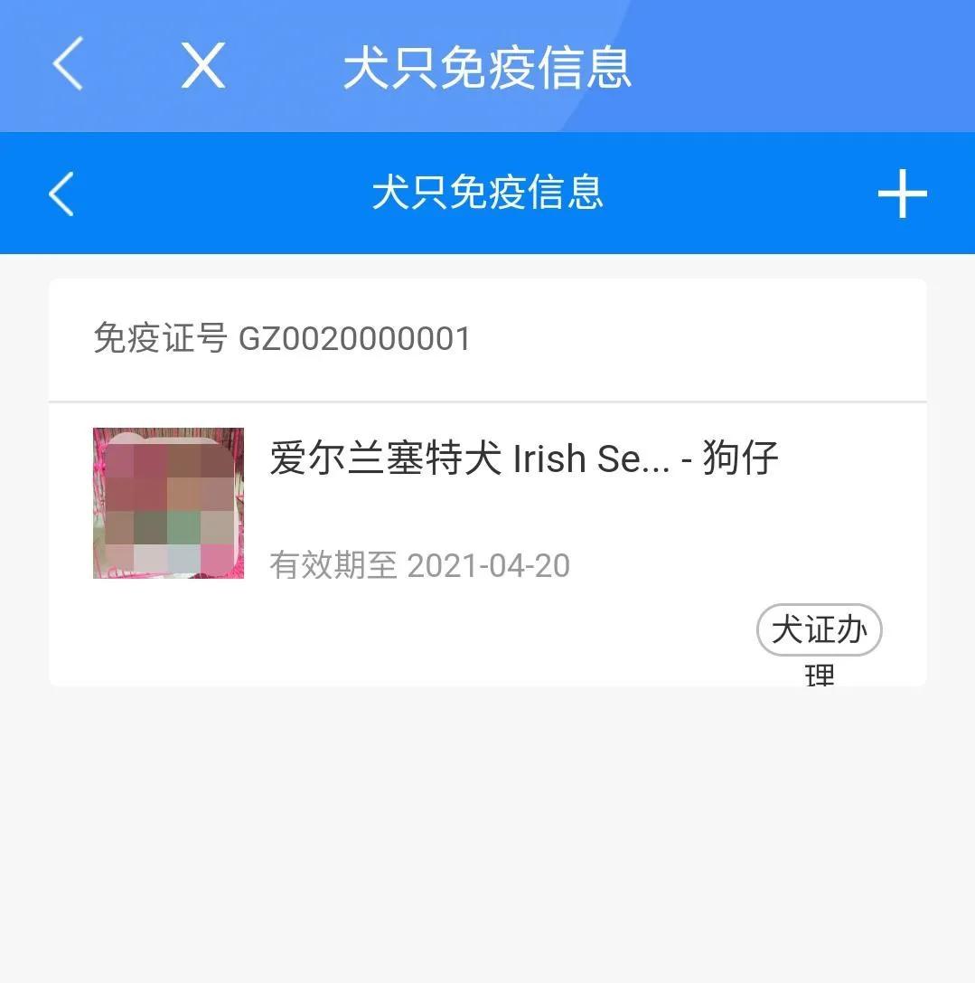 广州养犬证办理,宠物狗怎么办理养犬证