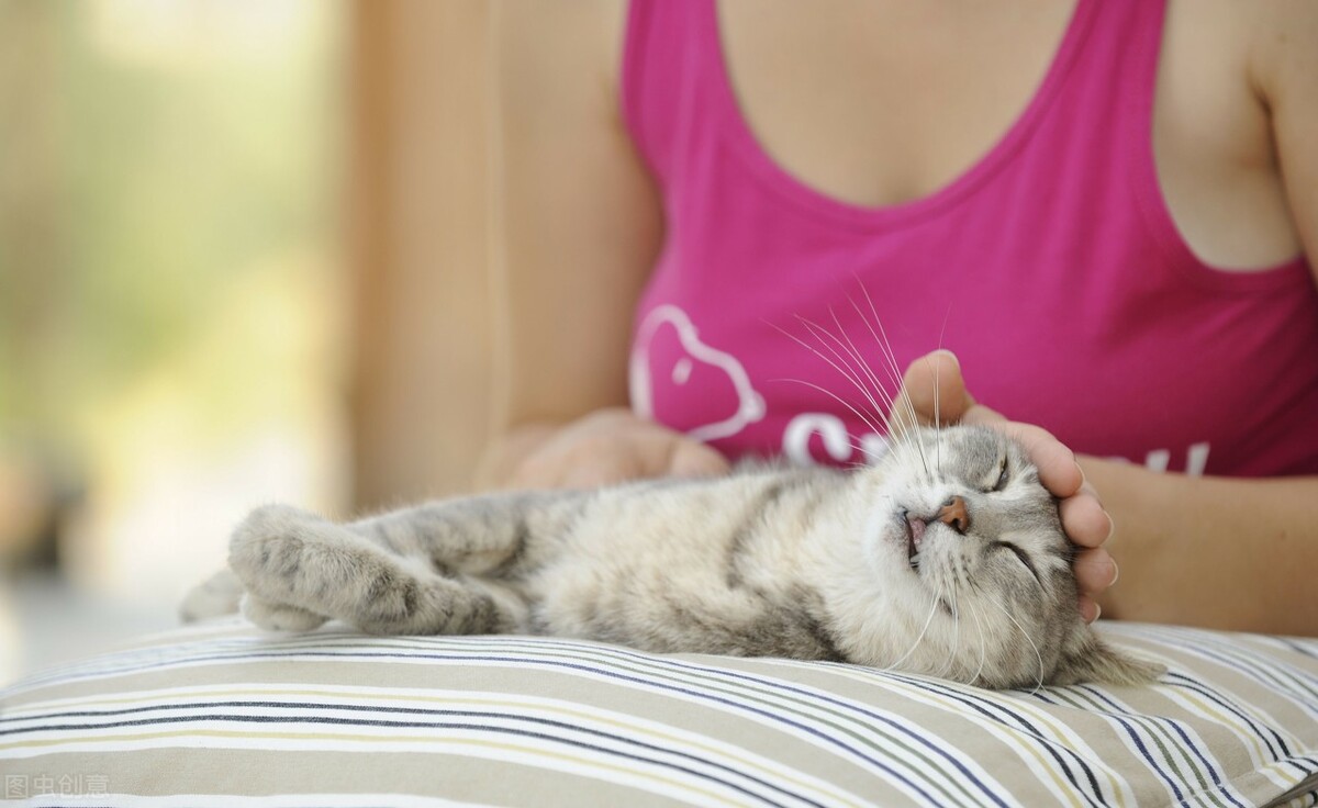 夏天到了身上起红色的小点,夏天皮肤痒起小红点