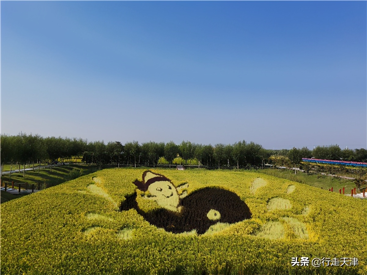 天津游玩景点推荐适合小孩,天津儿童游玩景点推荐