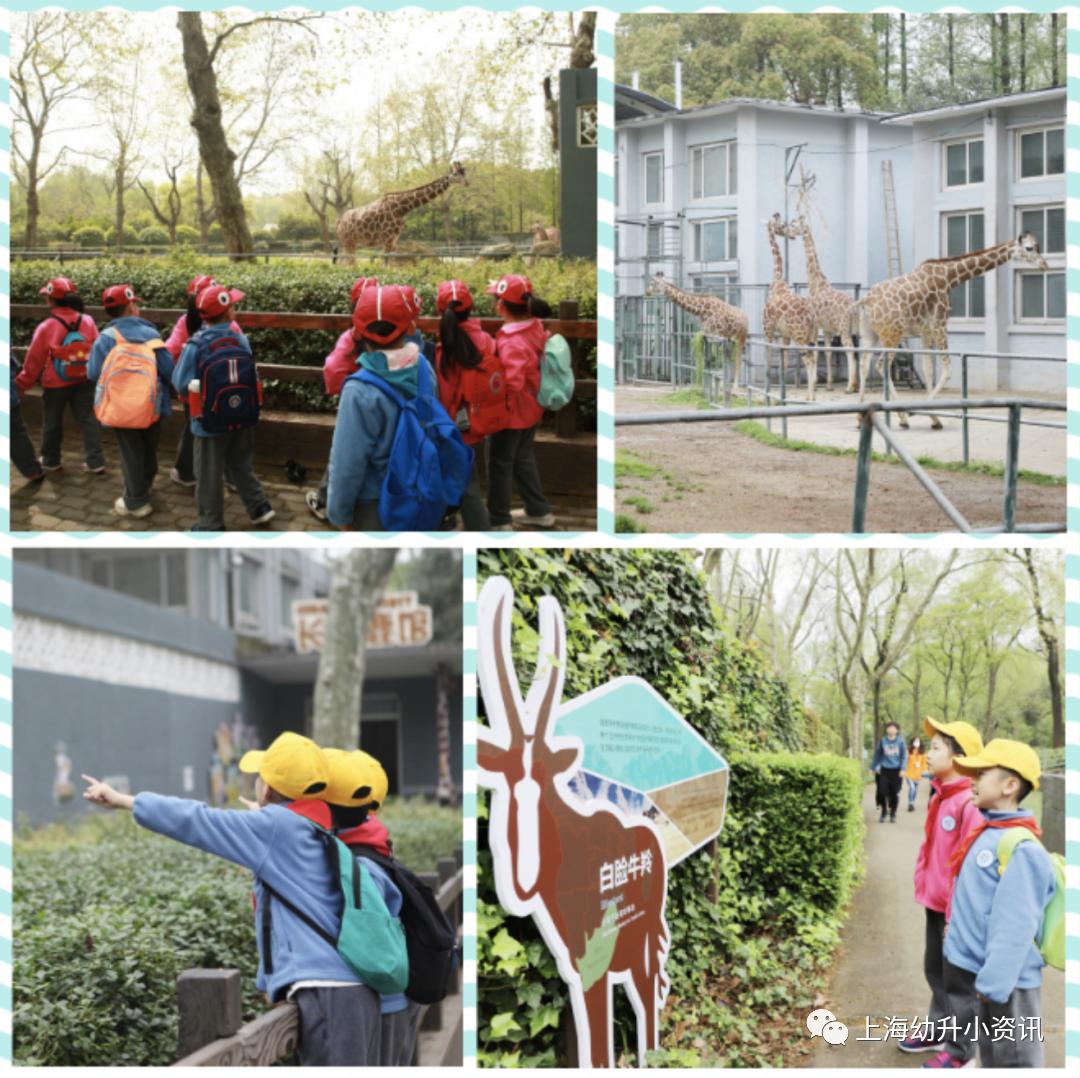 复旦九年制学校徐汇新校区,上海复旦九年制学校