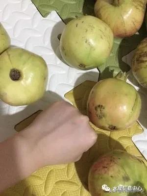 在网上买水果遇到假货怎么办,网上购买水果会被坑吗