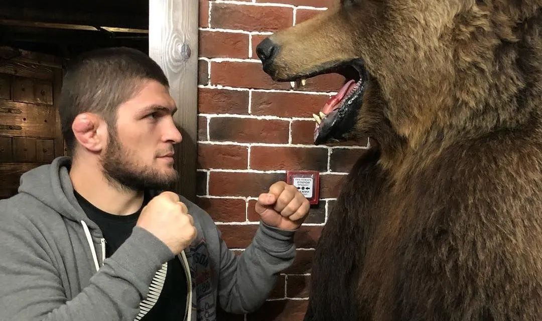 赤手空拳打野兽有用吗,人赤手空拳有可能打过老虎吗