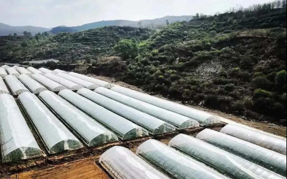 快板脱贫致富奔小康,袁英民快板最新消息