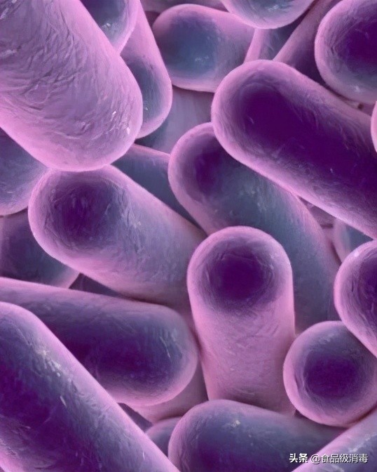 口腔诊疗用水污染三个主要来源,口腔综合治疗台水路消毒规范