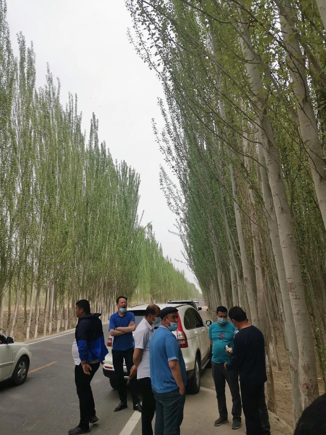 和田寻玉最佳地方,和田寻玉价格