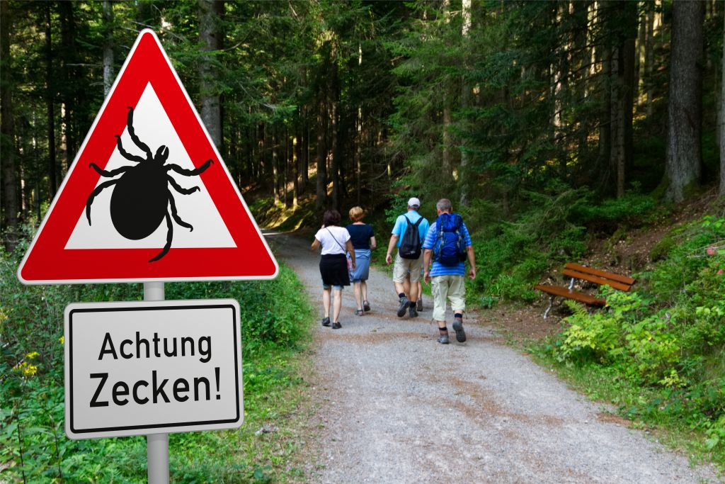 蜱虫活跃季节警惕蜱虫病惹上身,蜱虫和隐翅虫常出没的地方