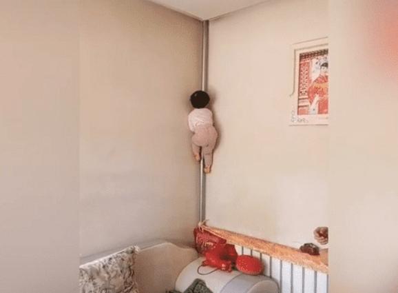 “飞毛腿宝宝”爬暖气管火了，传说中的“三天不打上房揭瓦”？