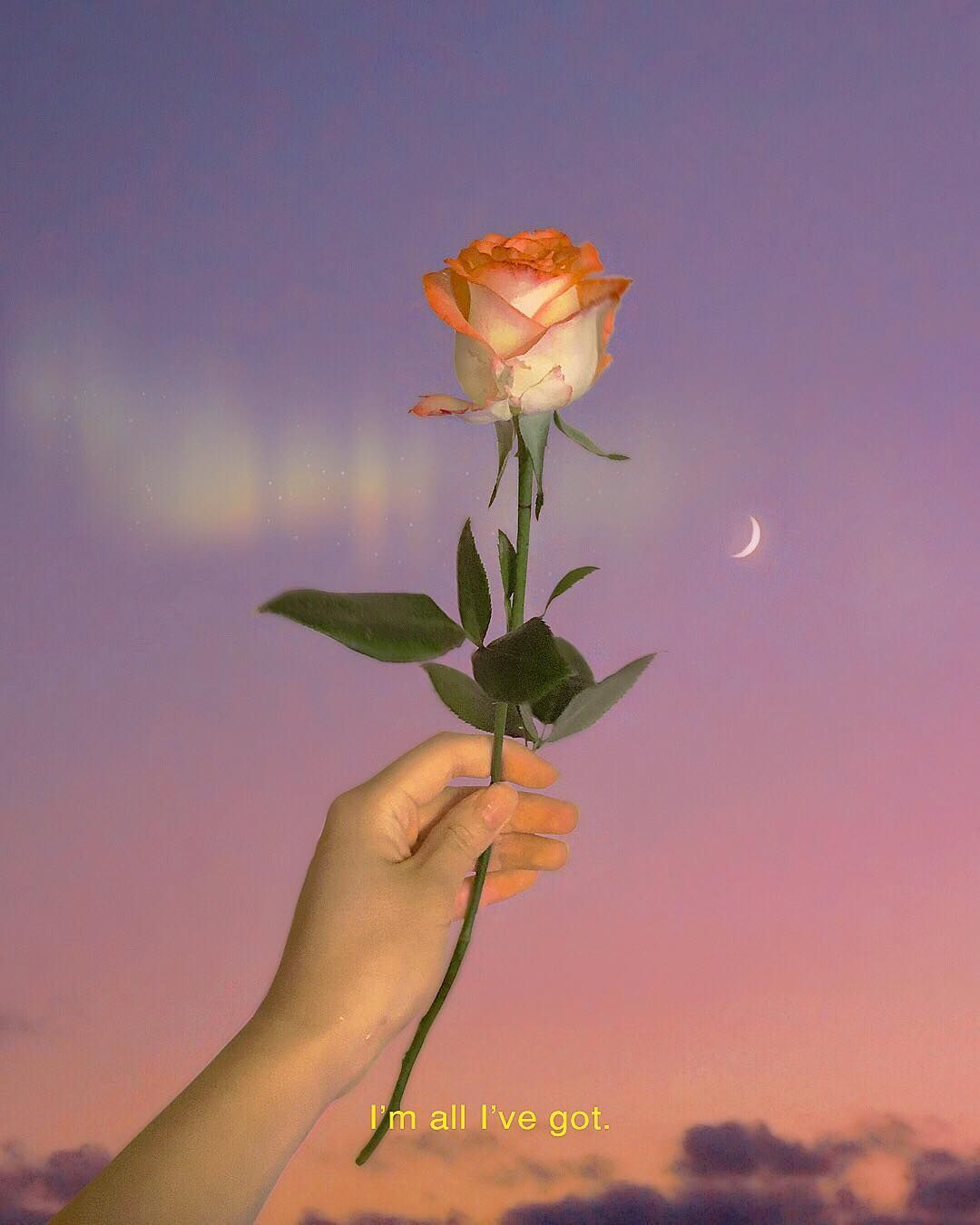 喜宝的观后感500字,看了喜宝电影的观后感