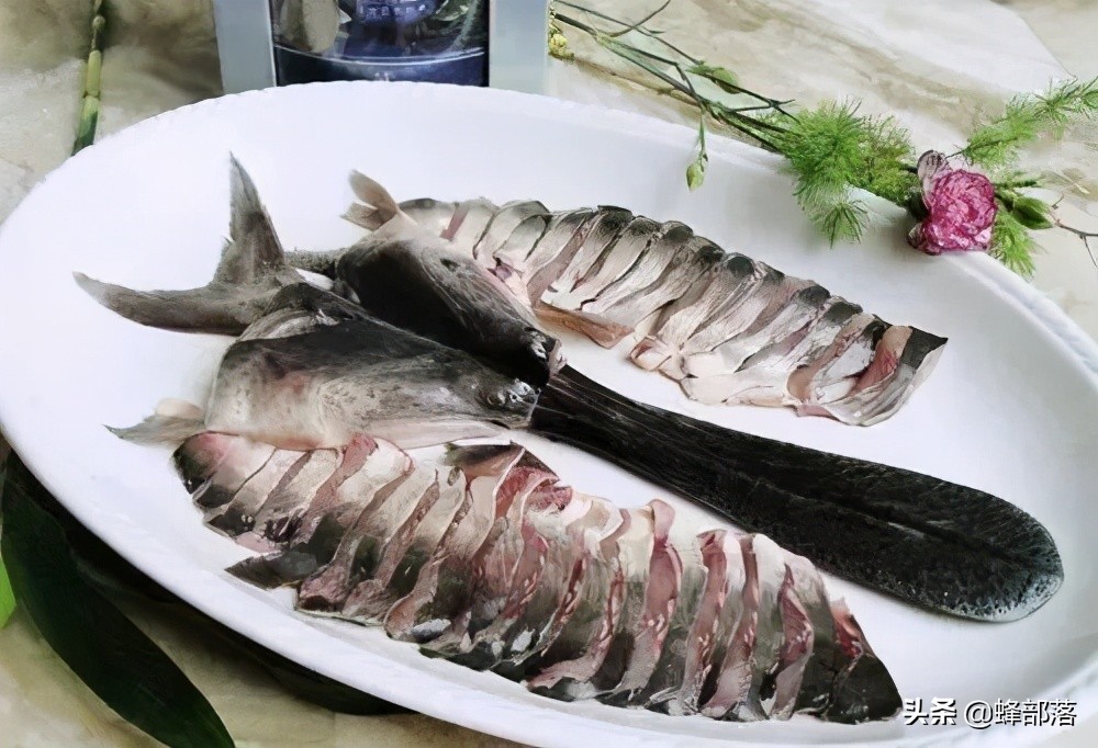 什么鱼最好养殖最挣钱,农村养殖鱼的技巧和注意事项