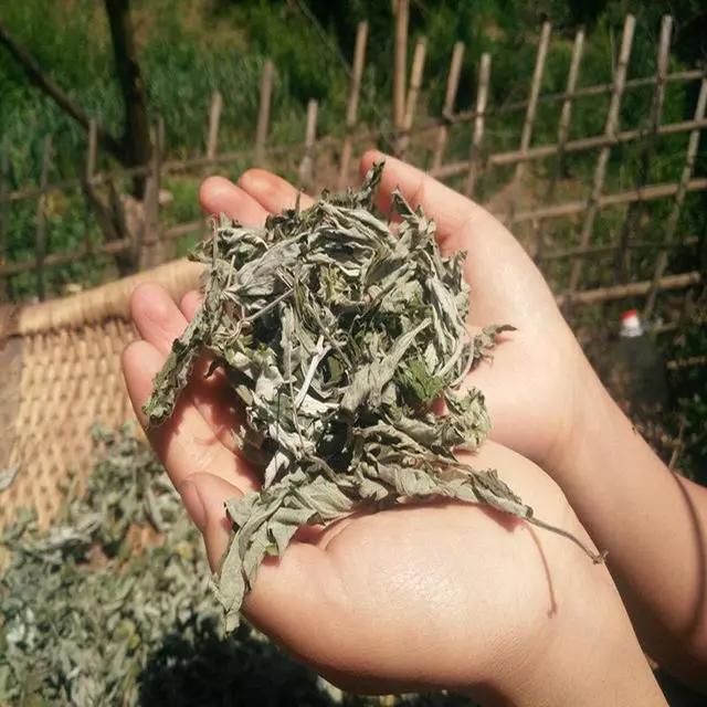 用什么方法灭蚊子最管用,灭蚊子的土方法