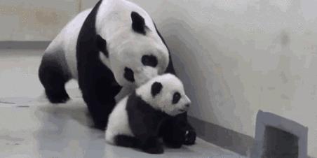 被握住了命运的后脖颈,被抓住了命运的脖颈