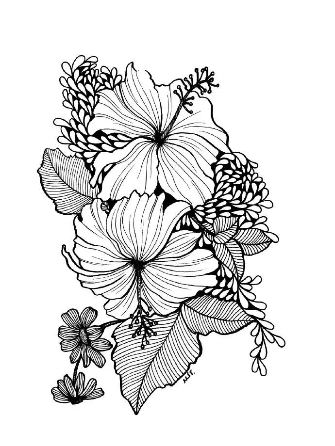 高级线描画花卉大全,花卉线描100种