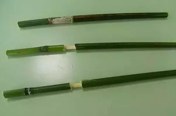 没有手机的童年回忆,没有手机的童年才是真童年