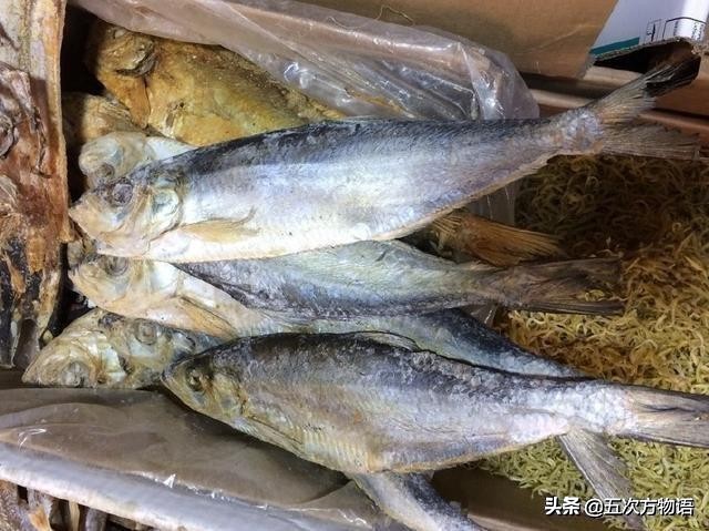 鲱鱼原汁原味,最好吃的鲱鱼