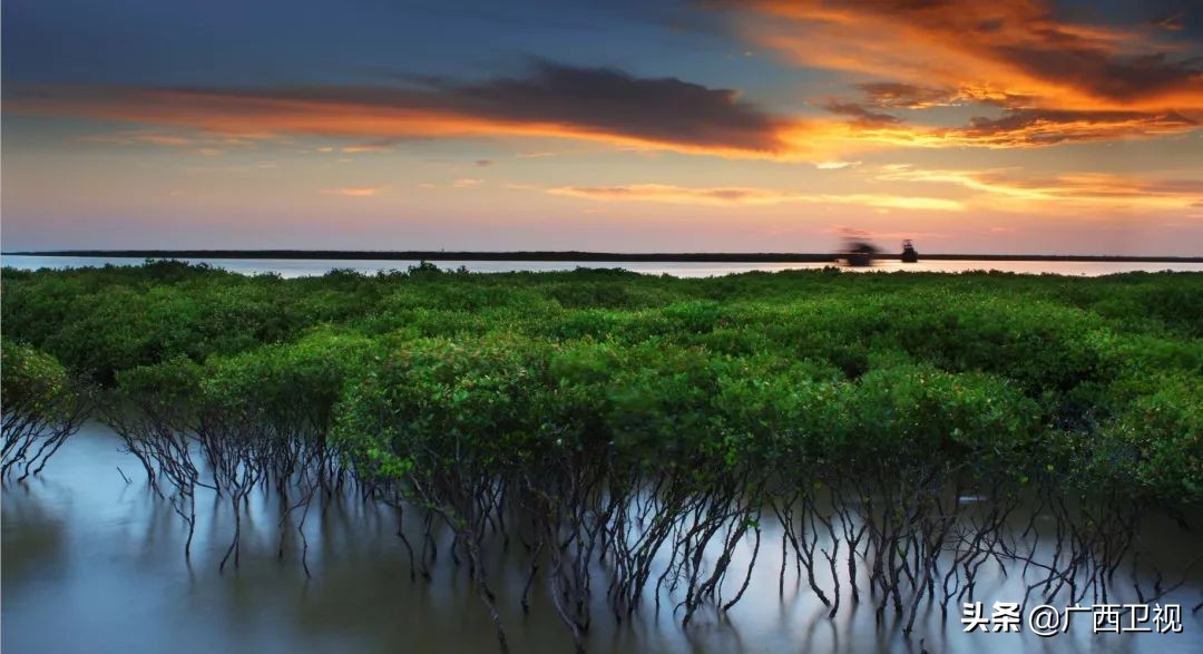 环广西北海2017开幕式,环广西北海赛段全程回放