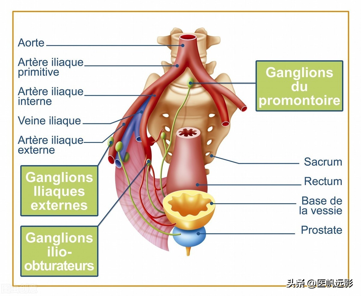 为什么性功能有问题却拿前列腺开玩笑？