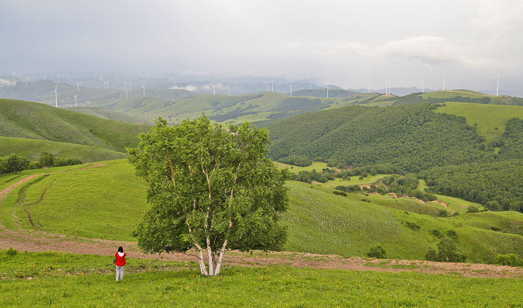 河北承德坝上草原京北第一草原,京北第一草原和坝上草原嘉年华