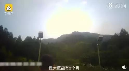 吃鱼眼会长鱼眼吗,吃了鱼眼睛有没有危害