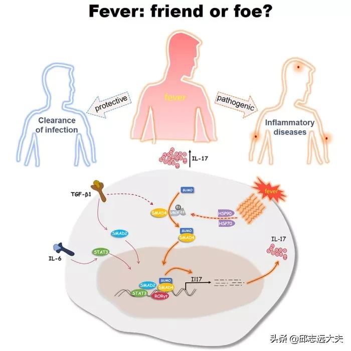 中国免疫学科学家,免疫学领域学者排名