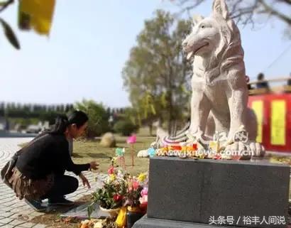 动物的人性化,动物的人性化视频