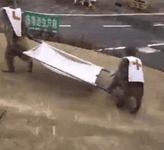 点进本文前，请控制好您的膀胱！（不然容易笑尿）