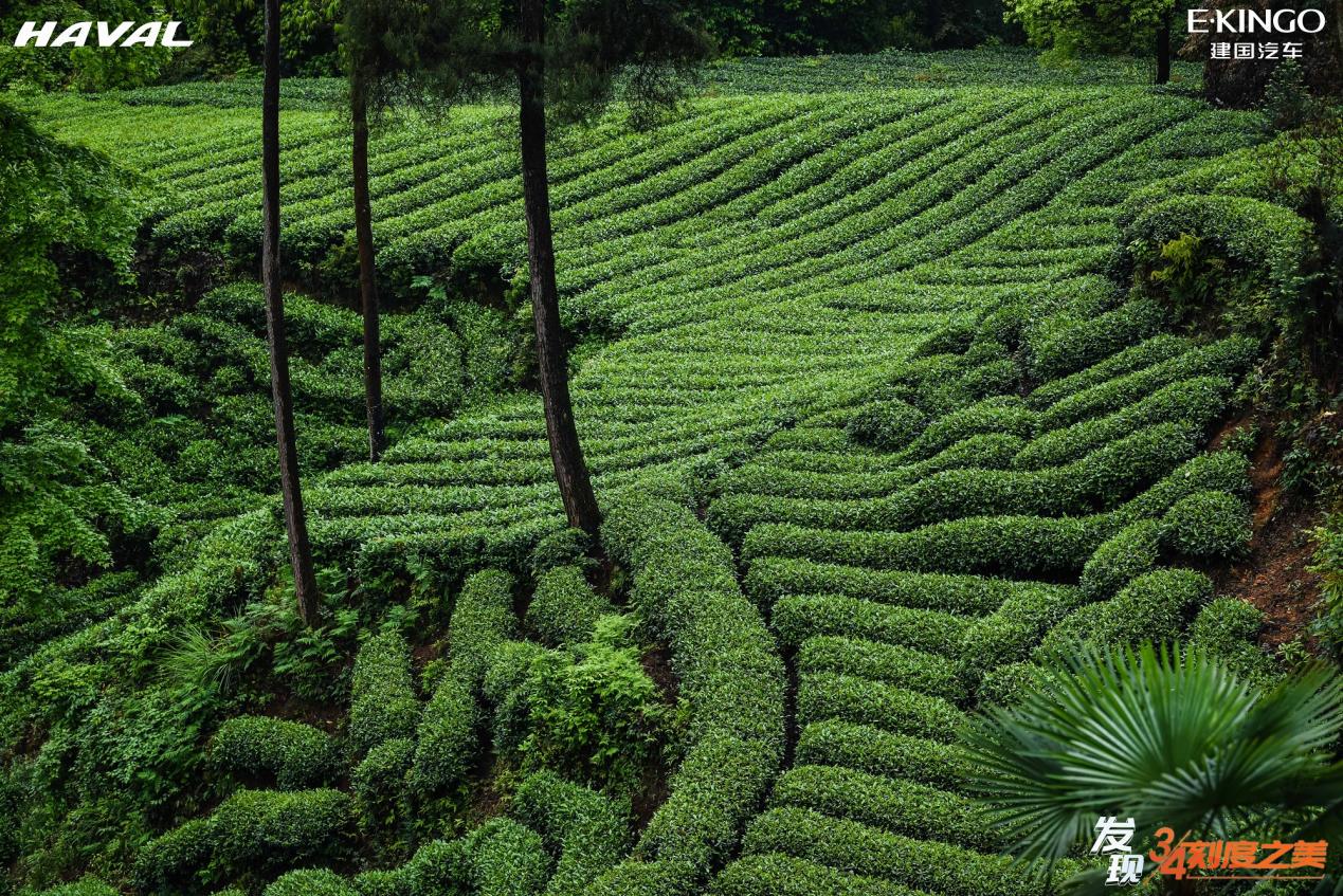 建国“哈狗邦”，茶马古道中发现3/4刻度之美