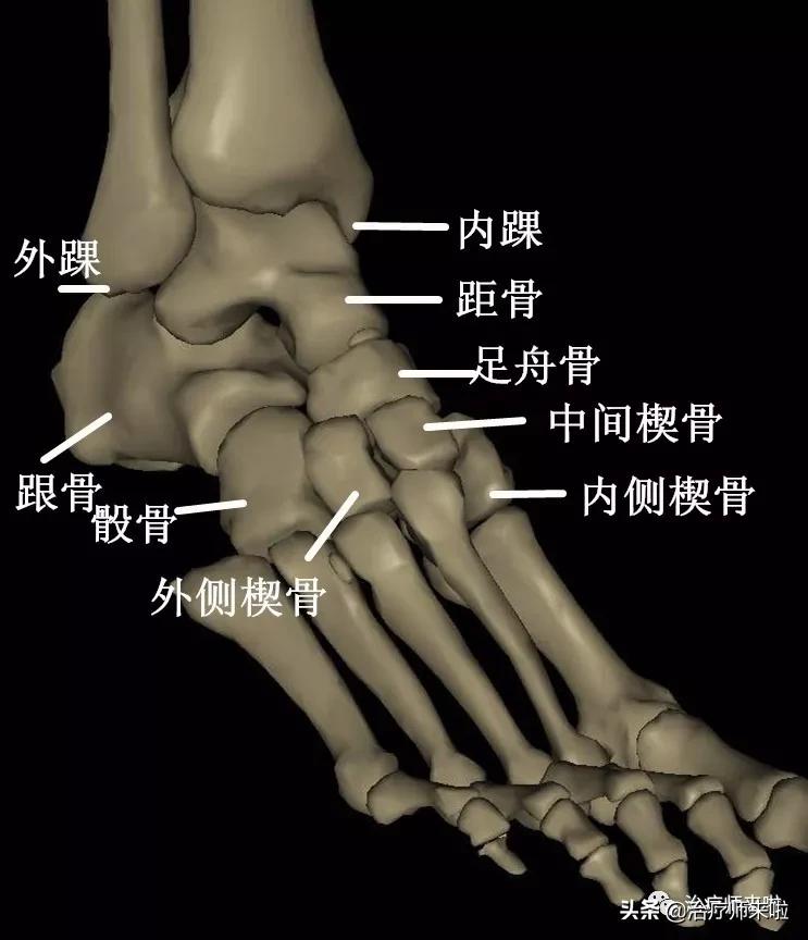 踝关节不稳康复训练,慢性踝关节不稳的运动康复修复
