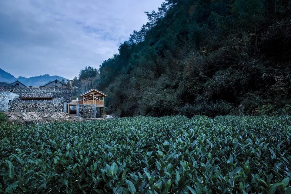 乡村振兴特色文化案例分享,关于乡村振兴比较有创意的点子