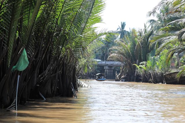 夜游湄公河在哪里看到景点,穿行在路上