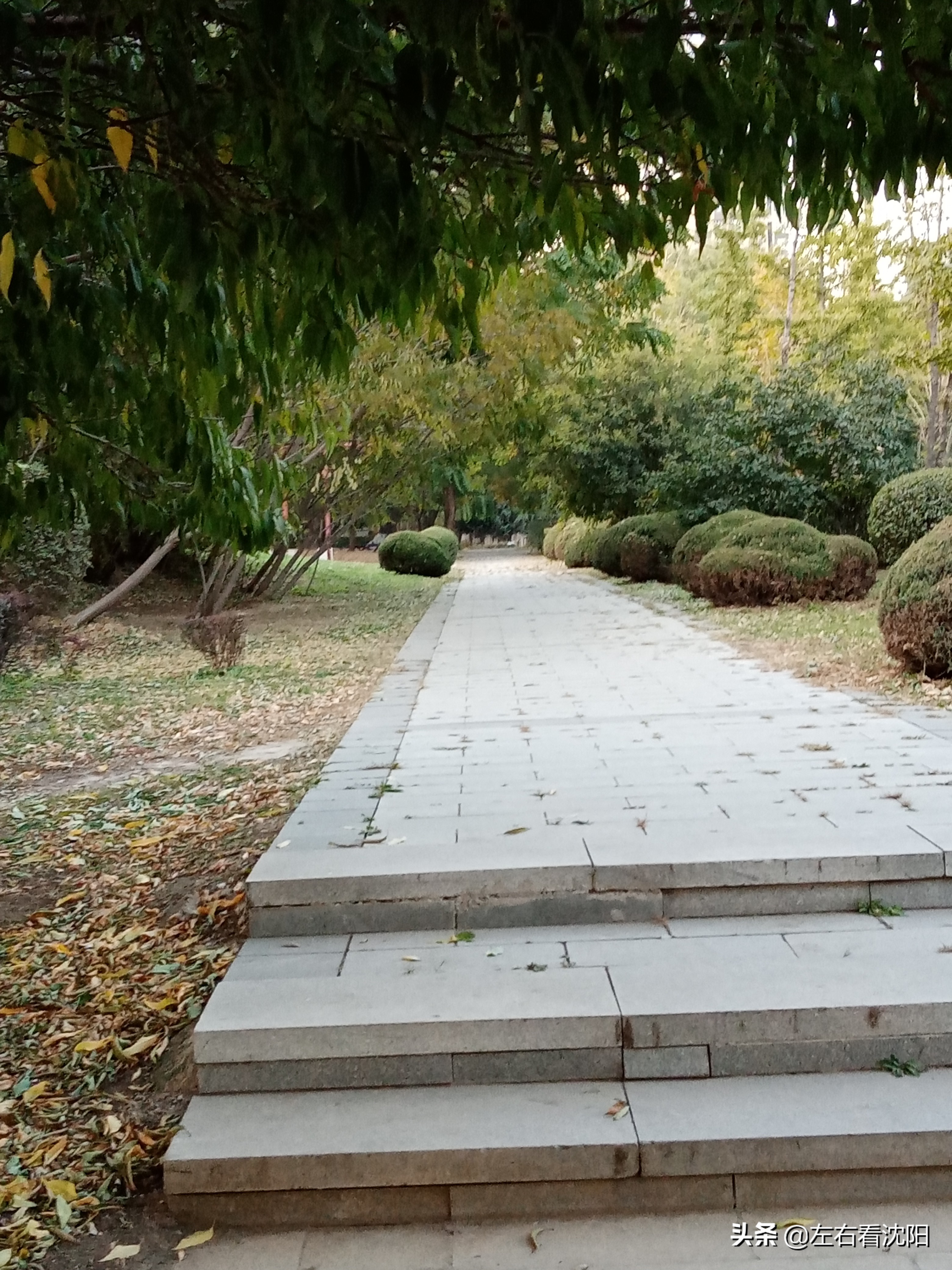 沈阳五里河公园攻略,沈阳五里河公园现在开吗