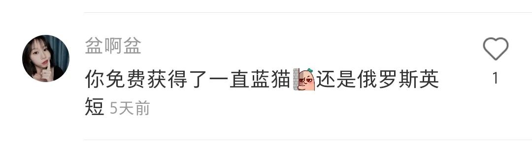 全球罕见足球猫冲上热搜,网友:指定染色!结果......哈哈哈哈