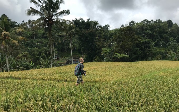 在乌布打个盹然后去吉利岛撒欢