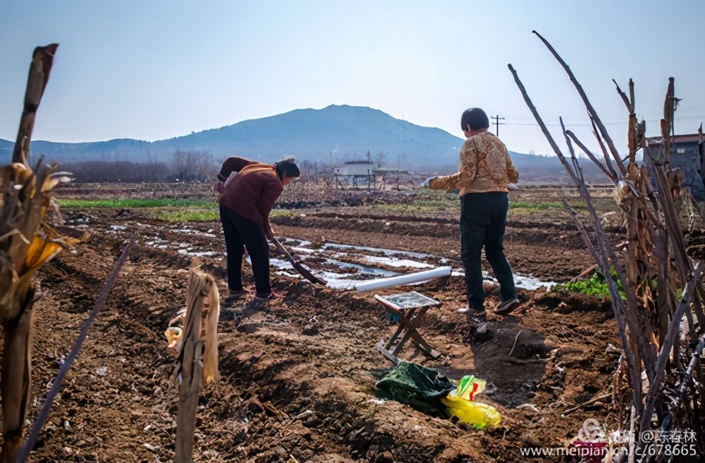 故乡记忆散文大全,难忘儿时的乡情散文