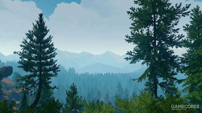 落基山脉森林,落基山森林