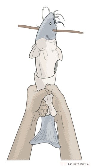 野外生存抓到猎物在哪处理,野外生存简易捕猎的方法