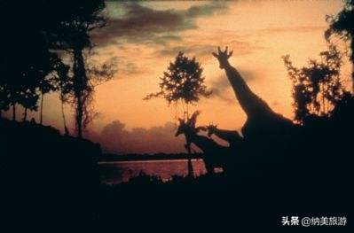 夜间野生动物园,新加坡夜间野生动物园